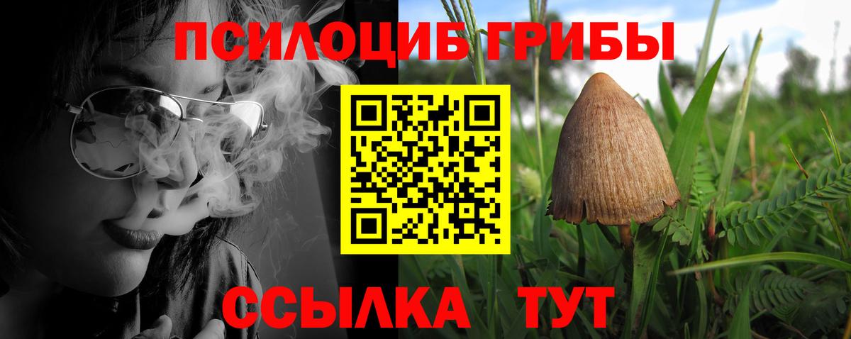 Псилоцибиновые грибы прущие грибы  Галлюциногенные грибы прущие грибы  Дюртюли  Вход с VPN 